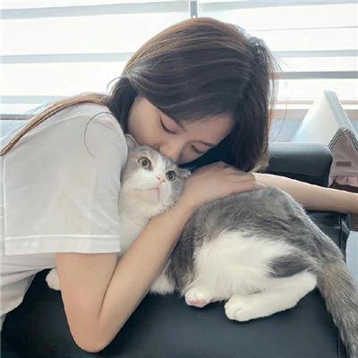 毁婚二十一条