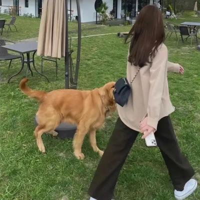 黑色十人之女